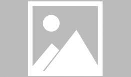 鱼 动漫,探寻奇幻动漫世界的奇幻之旅